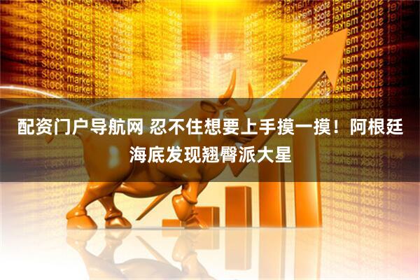 配资门户导航网 忍不住想要上手摸一摸！阿根廷海底发现翘臀派大星